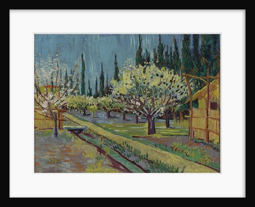 Orchard Bordered by Cypresses, 1888 by Vincent van Gogh