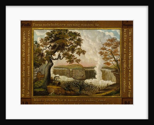 The Falls of Niagara, c.1825 by Edward Hicks
