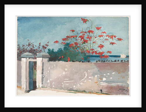 A Wall, Nassau, 1898 by Winslow Homer