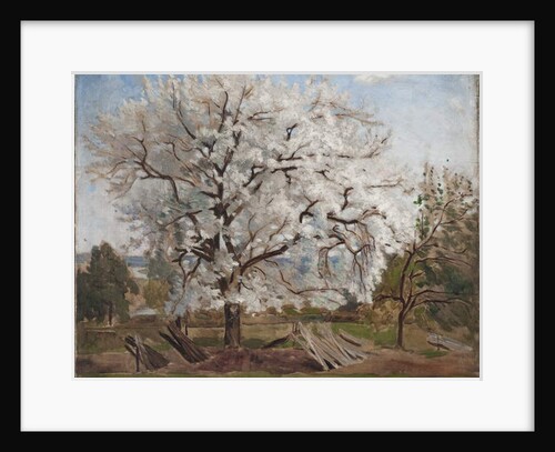 Apple Tree in Blossom, 1877 by Carl Fredrik Hill