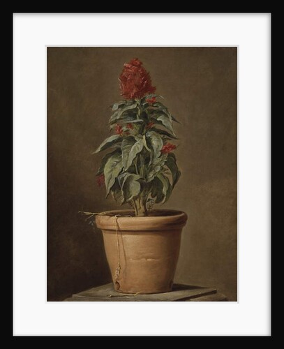 A Potted Plant by Henri Horace Roland de la Porte