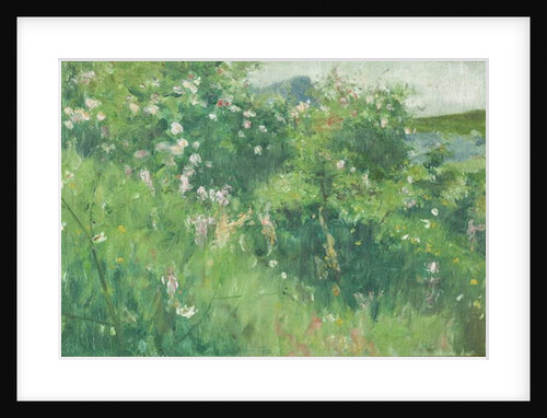 Briar-Rose Bushes Flowering on the Isle of Tjörn by Karl Fredrick Nordstrom