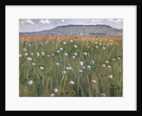 Meadow Piece, c.1901 by Ferdinand Hodler