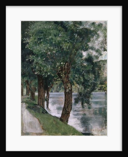 Willow Trees at the Rhone, c.1885 by Ferdinand Hodler