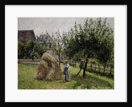 Apple Trees in Eragny, Sunny Morning, 1903 by Camille Pissarro