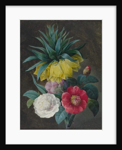 Four Peonies and a Crown Imperial by Pierre-Joseph Redouté
