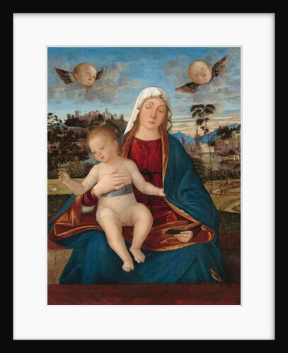Madonna and Child, c.1505-10 by Vittore Carpaccio