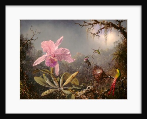 Cattleya Orchid and Three Hummingbirds, 1871 by Martin Johnson Heade