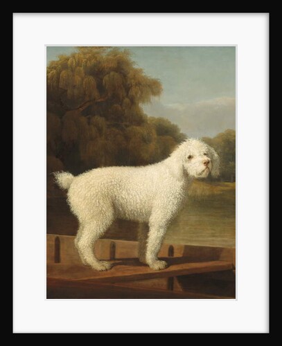 White Poodle in a Punt, c.1780 by George Stubbs