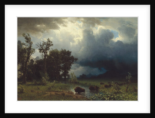Buffalo Trail: The Impending Storm, 1869 by Albert Bierstadt
