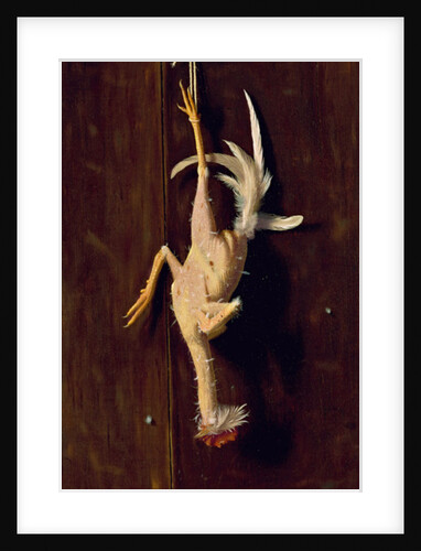 Plucked Clean, 1882 by William Michael Harnett