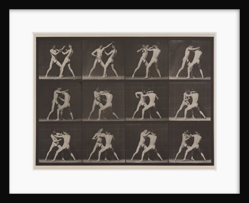 Plate Number 340. Boxing; open hand, 1887 by Eadweard Muybridge