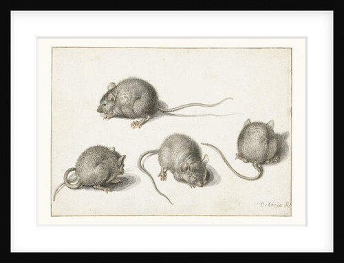 Four studies of a diseased mouse by Jacob II de Gheyn
