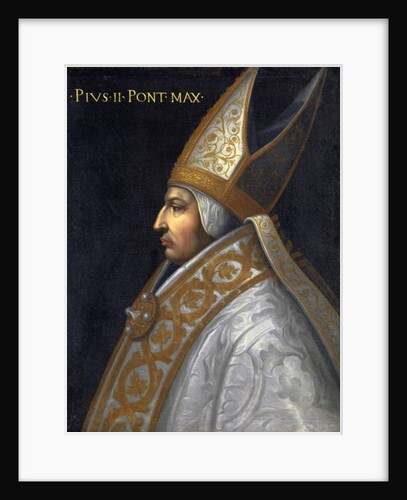 Portrait of Pope Pius II, c.1560 by Cristofano dell' Altissimo