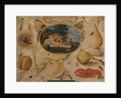 Venus disarming Amor in a medallion surrounded by plants, fruits, insects and shellfish, c. 1595 by Joris Hoefnagel