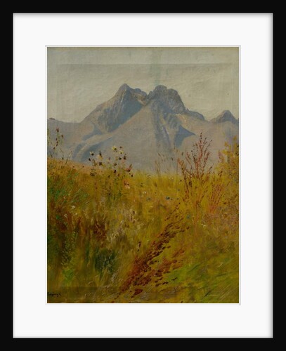 Lomnický Peak, 1890 by Laszlo Mednyanszky