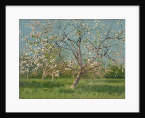Orchard trees in blossom, 1900-10 by Laszlo Mednyanszky