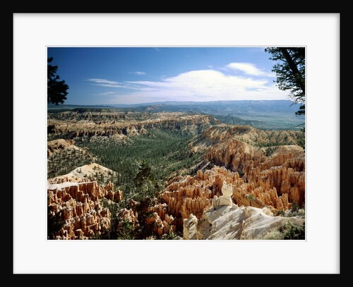 Bryce Canyon National Park, Utah by Anonymous