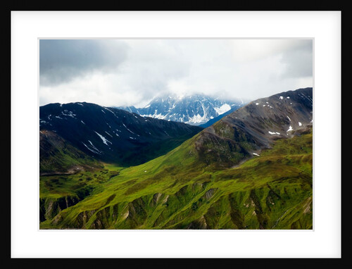Alaskan tundra, Denali National Park, Alaska by Anonymous