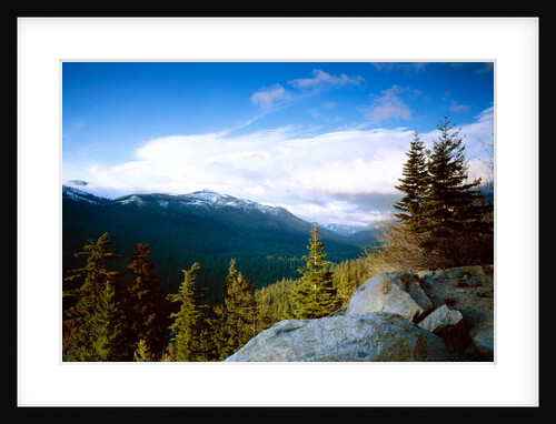 Storm in the mountains, Yosemite National Park, California by Anonymous