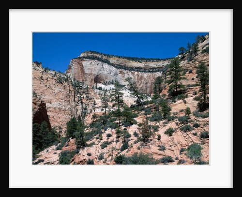 Zion National Park, Utah by Anonymous