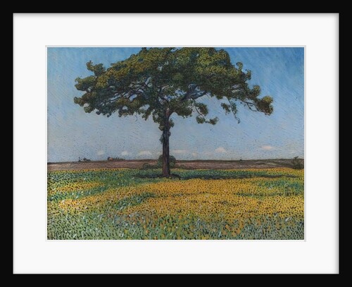Young Oak, 1902 by Nils Kreuger