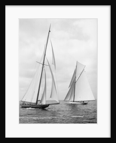 Shamrock II and Columbia at the start of the America's Cup, 1901 by Detroit Publishing Co.