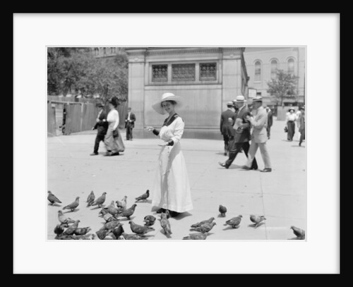 Feeding the pigeons, Boston Common by Anonymous