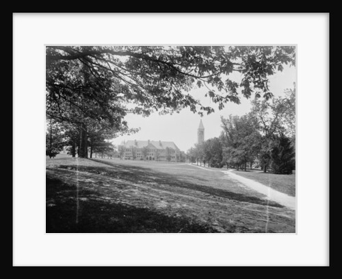 The Campus, Cornell University by Anonymous