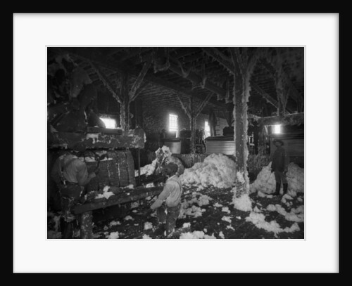 Cotton gin at Dahomey by Anonymous