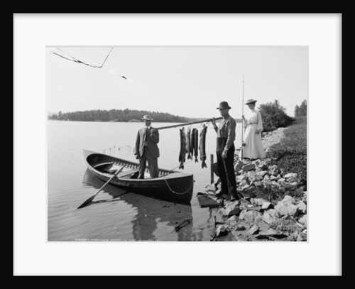 A Morning's catch in the Adirondacks, c.1903 by Detroit Publishing Co.