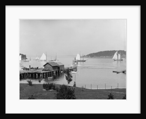 Bar Harbor, Mt. Desert Island, Maine, the harbour from Newport House, c.1901 by Detroit Publishing Co.