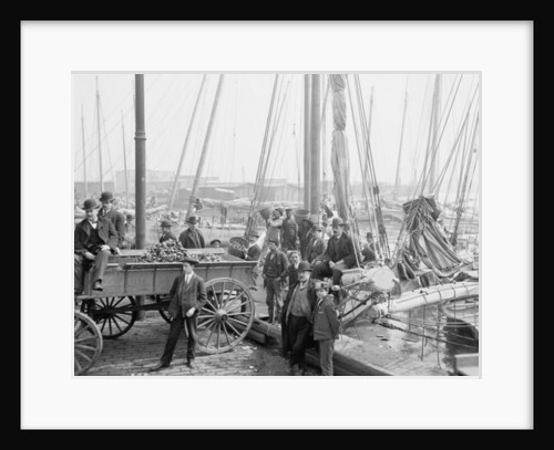 Unloading oyster luggers, Baltimore, Maryland, 1905 by Detroit Publishing Co.