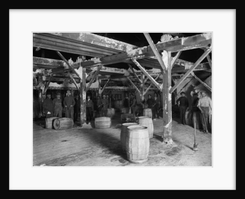 Del Ray Salt Co., c.1900-20 by Detroit Publishing Co.