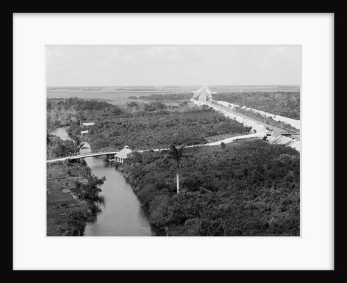 Drainage canal and Everglades, Miami, Florida, c.1910-20 by Detroit Publishing Co.