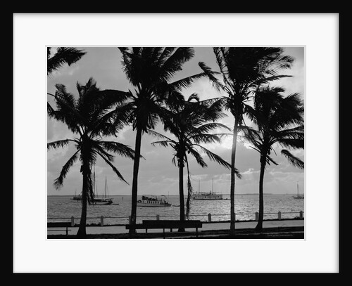 Sunset, Biscayne Bay, Miami, Florida, c.1910-20 by Detroit Publishing Co.