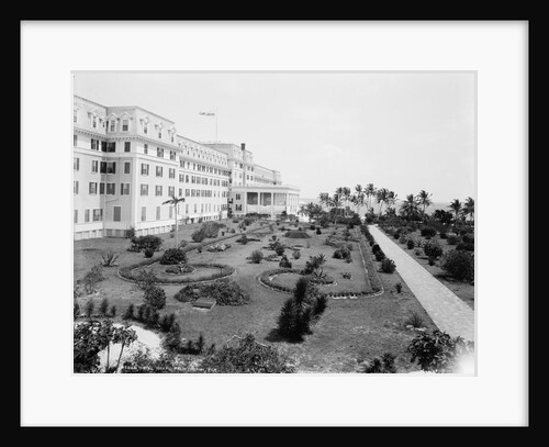 Hotel Royal Palm, Miami, Florida, c.1900 by Detroit Publishing Co.