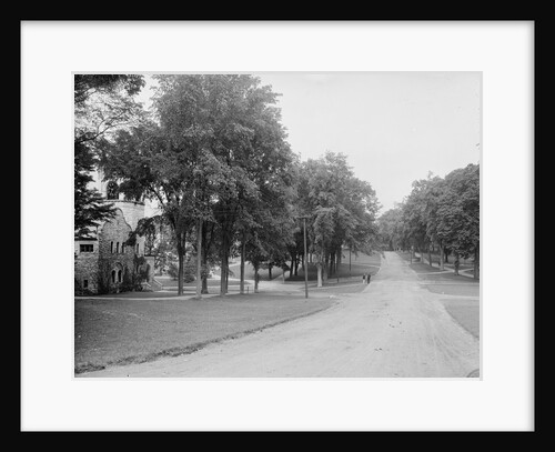 The Campus, Williams College, Williamstown, Massachusetts, c.1904 by Detroit Publishing Co.