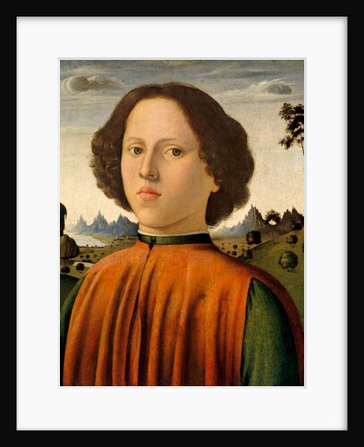 Portrait of a Boy, c.1476/1480 by Biagio d'Antonio