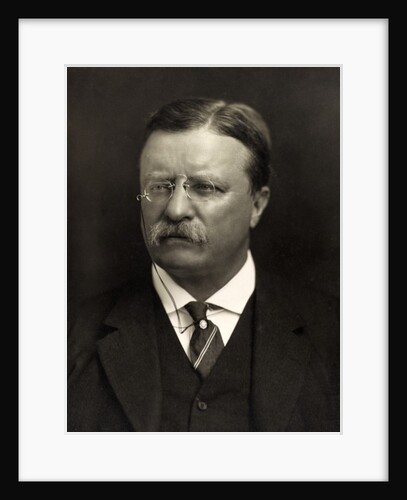 Theodore Roosevelt by Anonymous
