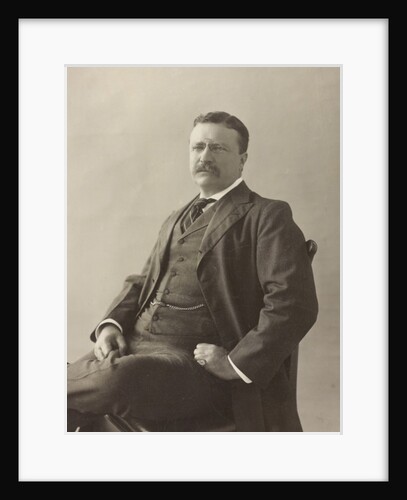 Theodore Roosevelt by Unknown photographer