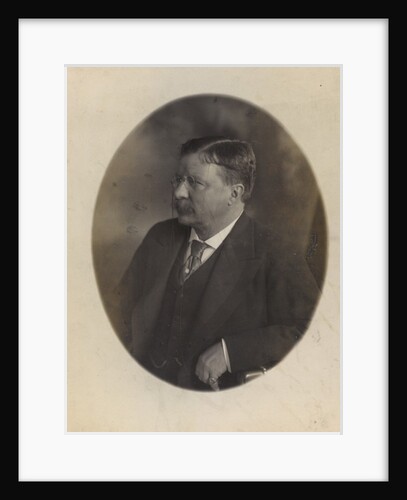 President Theodore Roosevelt, sitting side face by Anonymous