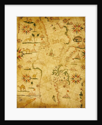 The Mediterranean Basin by Pietro Giovanni Prunes