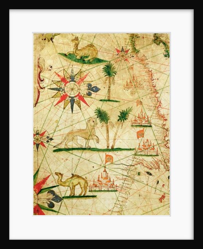 The North Coast of Africa by Pietro Giovanni Prunes