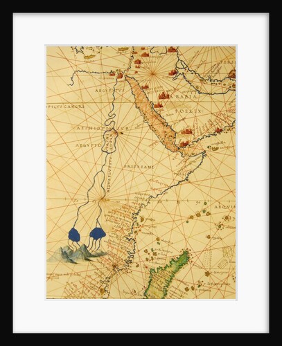 Part of Africa by Battista Agnese