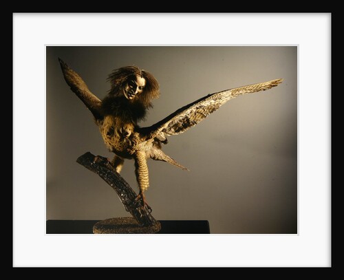 A Harpy by Anonymous