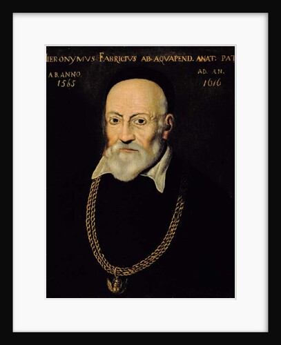Portrait of Hieronymus Fabricius by Italian School