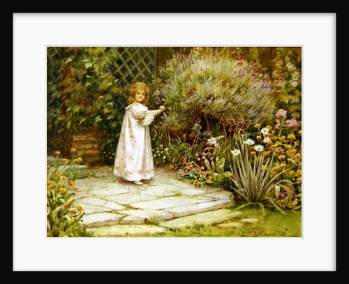 My Garden by William Ashburner