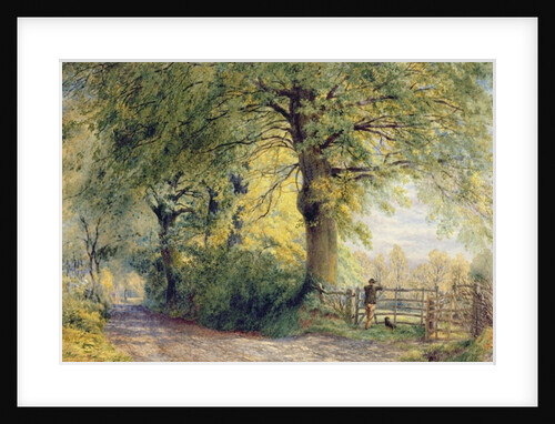 Under the Beeches by John Steeple