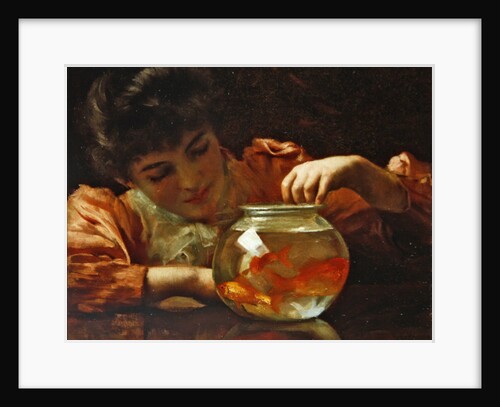 The Goldfish Bowl by Thomas Benjamin Kennington